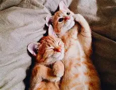 欧宝娱乐-从世青赛与梅西齐名开始笔趣阁最新完整